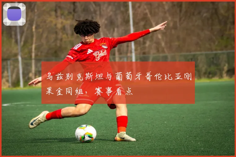 乌兹别克斯坦与葡萄牙哥伦比亚刚果金同组，赛事看点