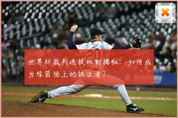 世界杯裁判选拔机制揭秘：如何成为绿茵场上的执法者？