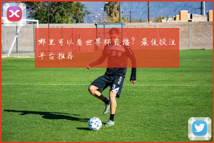 哪里可以看世界杯直播？最佳投注平台推荐